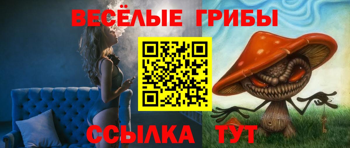 Можга  Галлюциногенные грибы Psilocybe  цена   Галлюциногенные грибы MAGIC MUSHROOMS  Вход с VPN 