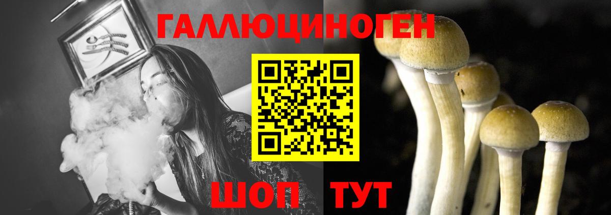 Псилоцибиновые грибы мухоморы Можга